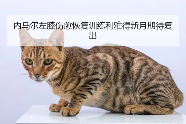 nei-ma-er-zuo-xi-shang-yu-hui-fu-xun-lian-li-ya-de-xin-yue-qi-dai-fu-chu-1-793.jpg
